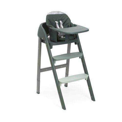 Evolutionary baby chair
